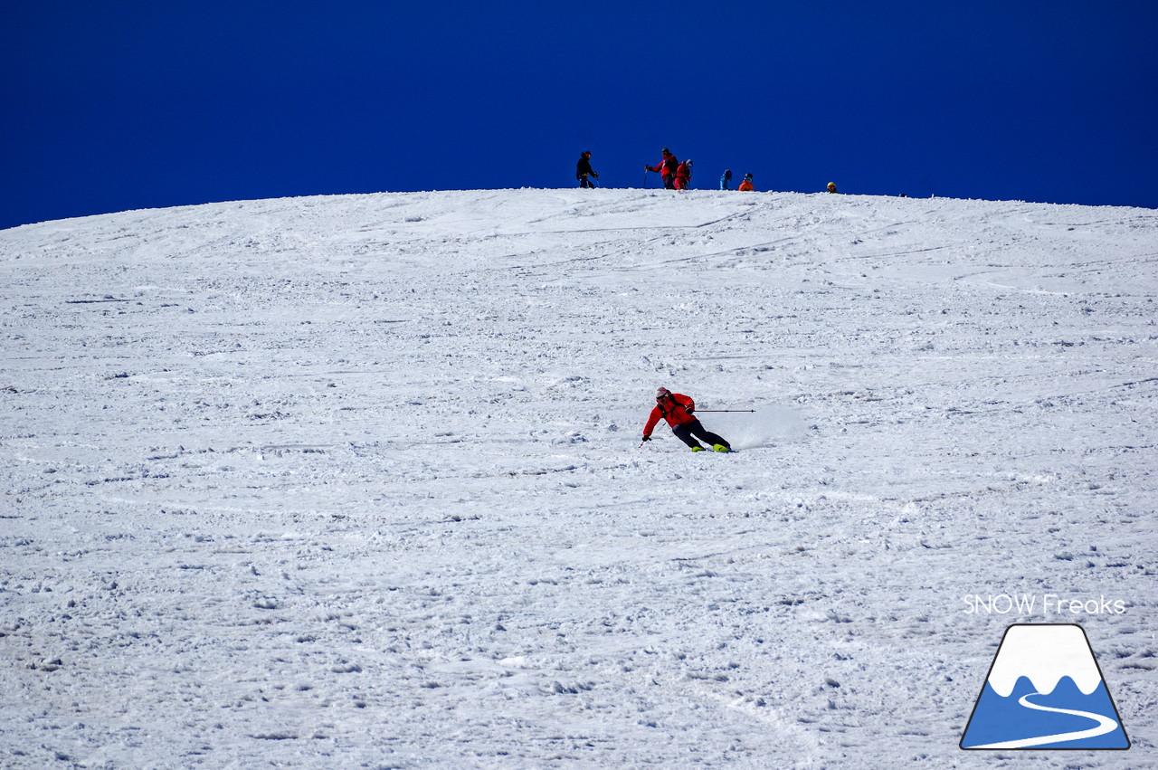 ニセコグラン・ヒラフ DYNASTAR SKI TEST RIDE DAYS Photo Session!!最高の天気に恵まれたニセコに、最高の仲間たちが集まりました☆